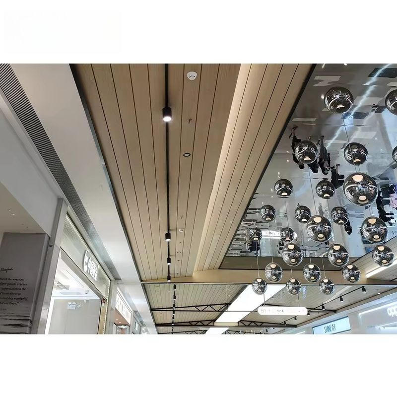 Sistema de pared exterior anodizado/en polvo de alta durabilidad en varios colores